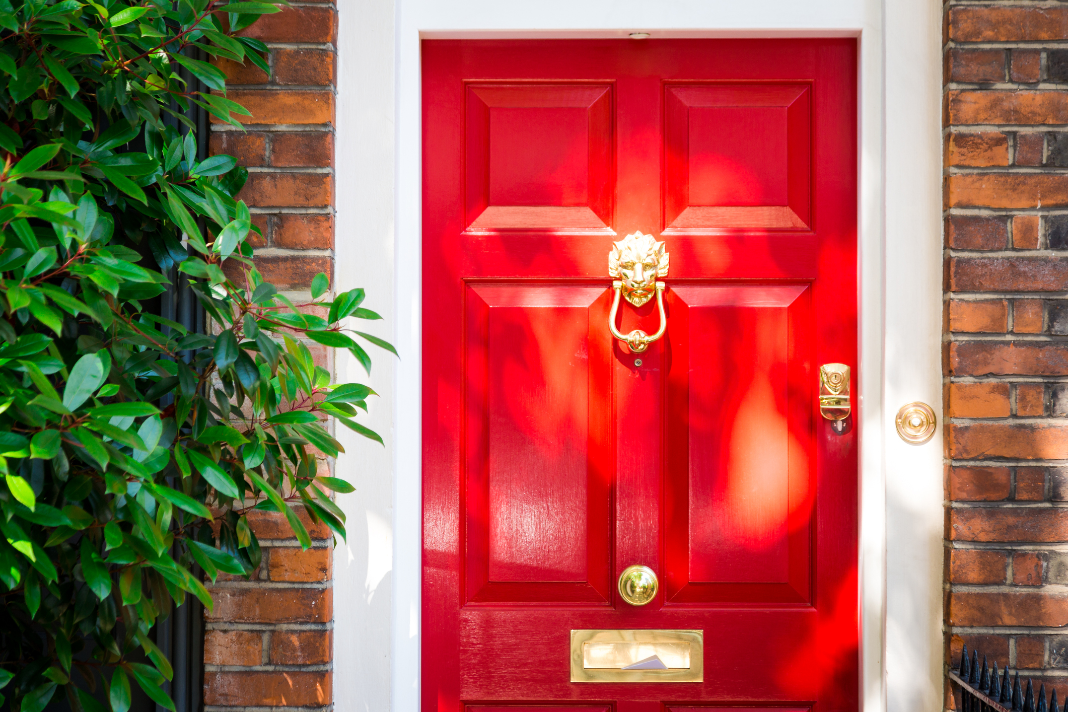 Color image depicting the exterior of a building on a traditional city street in Belgravia, an affluent area of London, UK. The house has a pretty red door, red brick walls, and the facade is decorated with a lush, verdant green bush. Room for copy space.