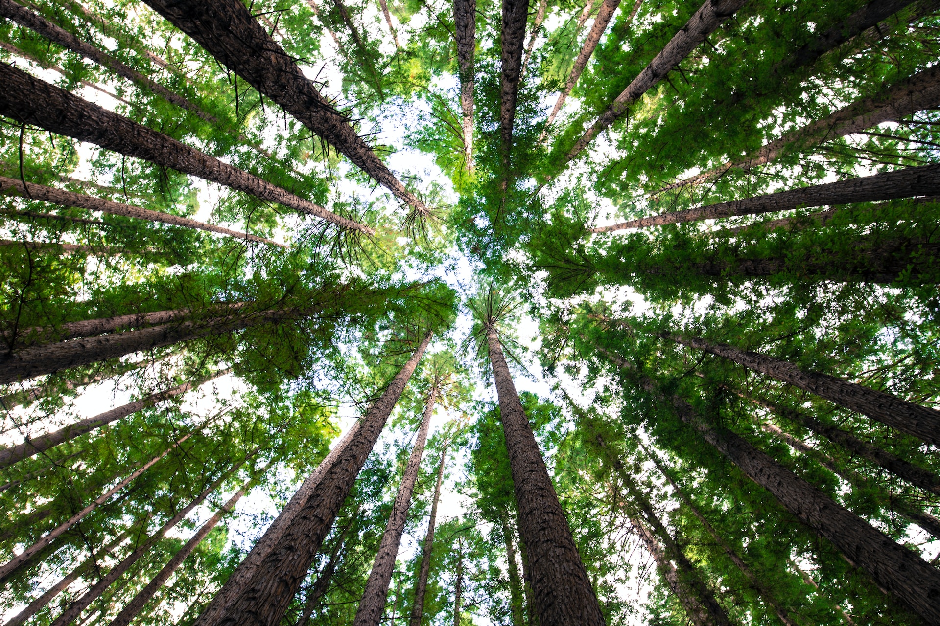 arnaud-mesureur-7EqQ1s3wIAI-unsplash arnaud-mesureur-7EqQ1s3wIAI-unsplash