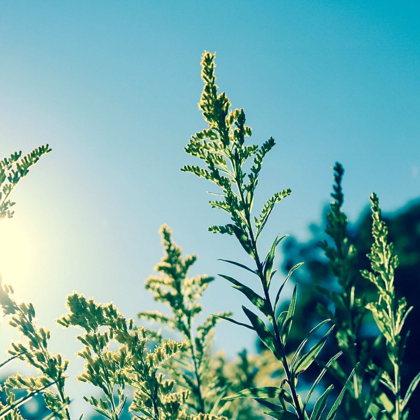 jordan-stewart-uawRUmJw3_0-unsplash jordan-stewart-uawRUmJw3_0-unsplash