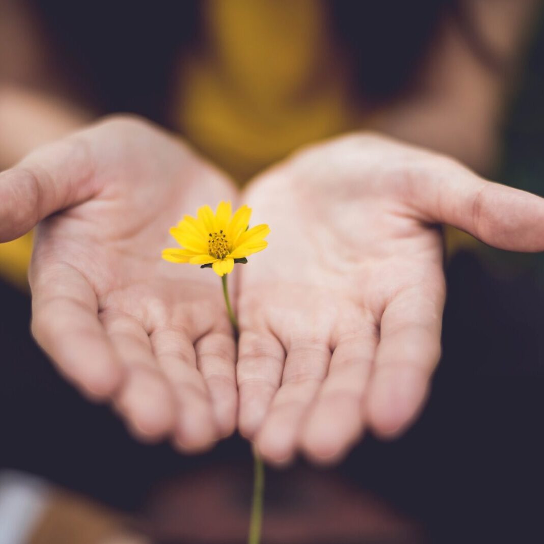 lina-trochez-ktPKyUs3Qjs-unsplash lina-trochez-ktPKyUs3Qjs-unsplash